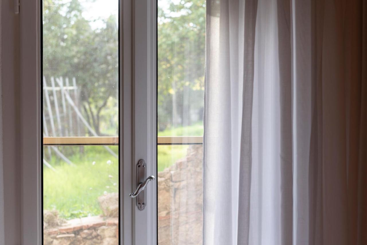 Terra D'Ombra Bed&Breakfast 산지미냐노 외부 사진